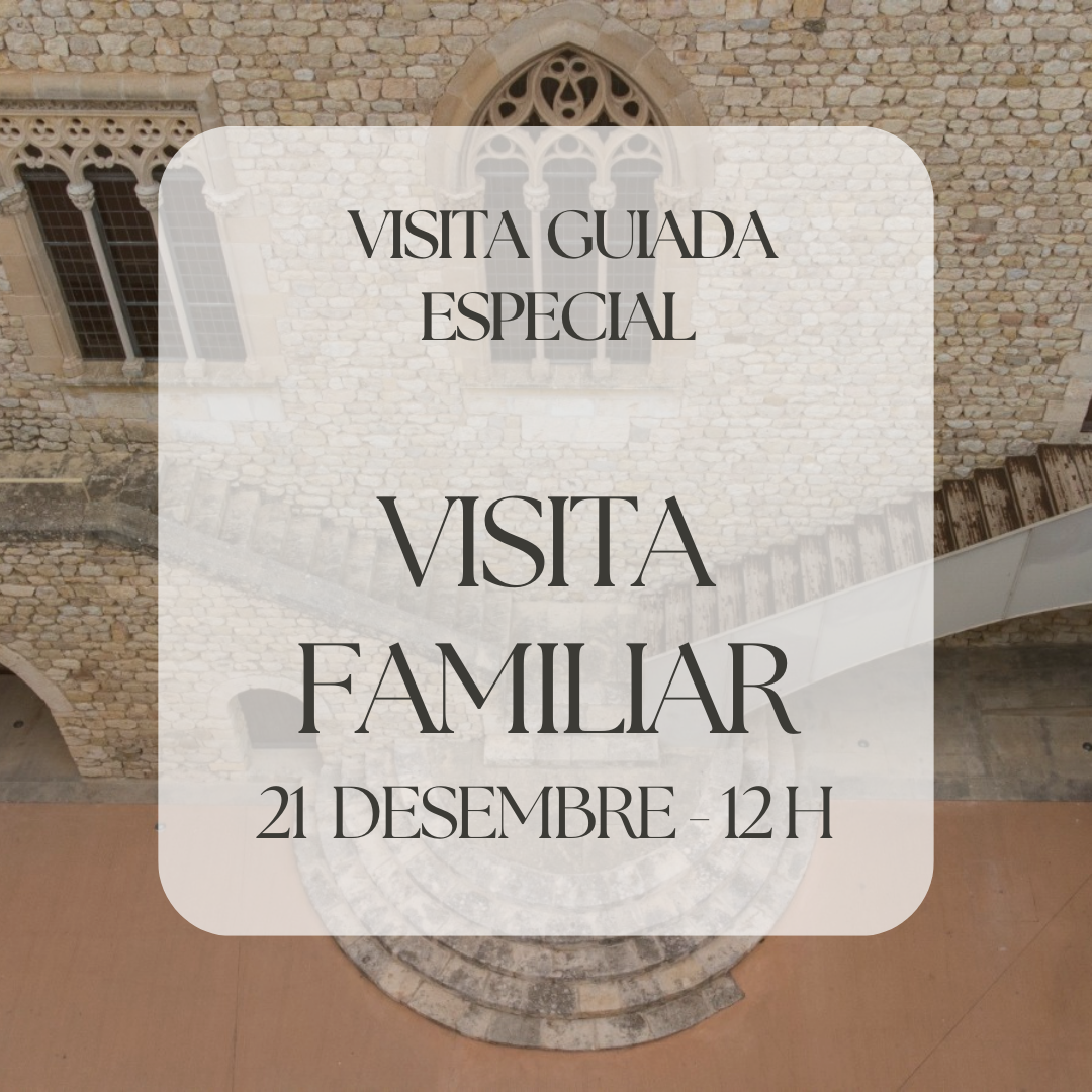 visites especials: visita familiar