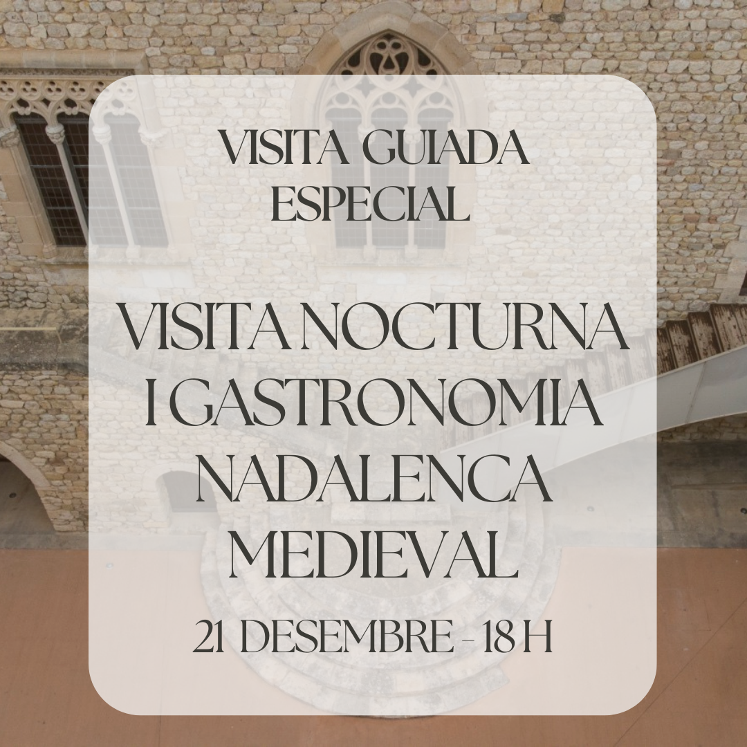 visites especials: visita nocturna